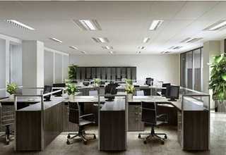 嘉兴羊奶ODM加工价格